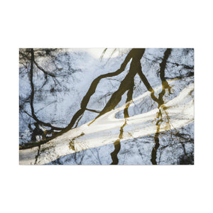 Peter Paul Rubens - canvas