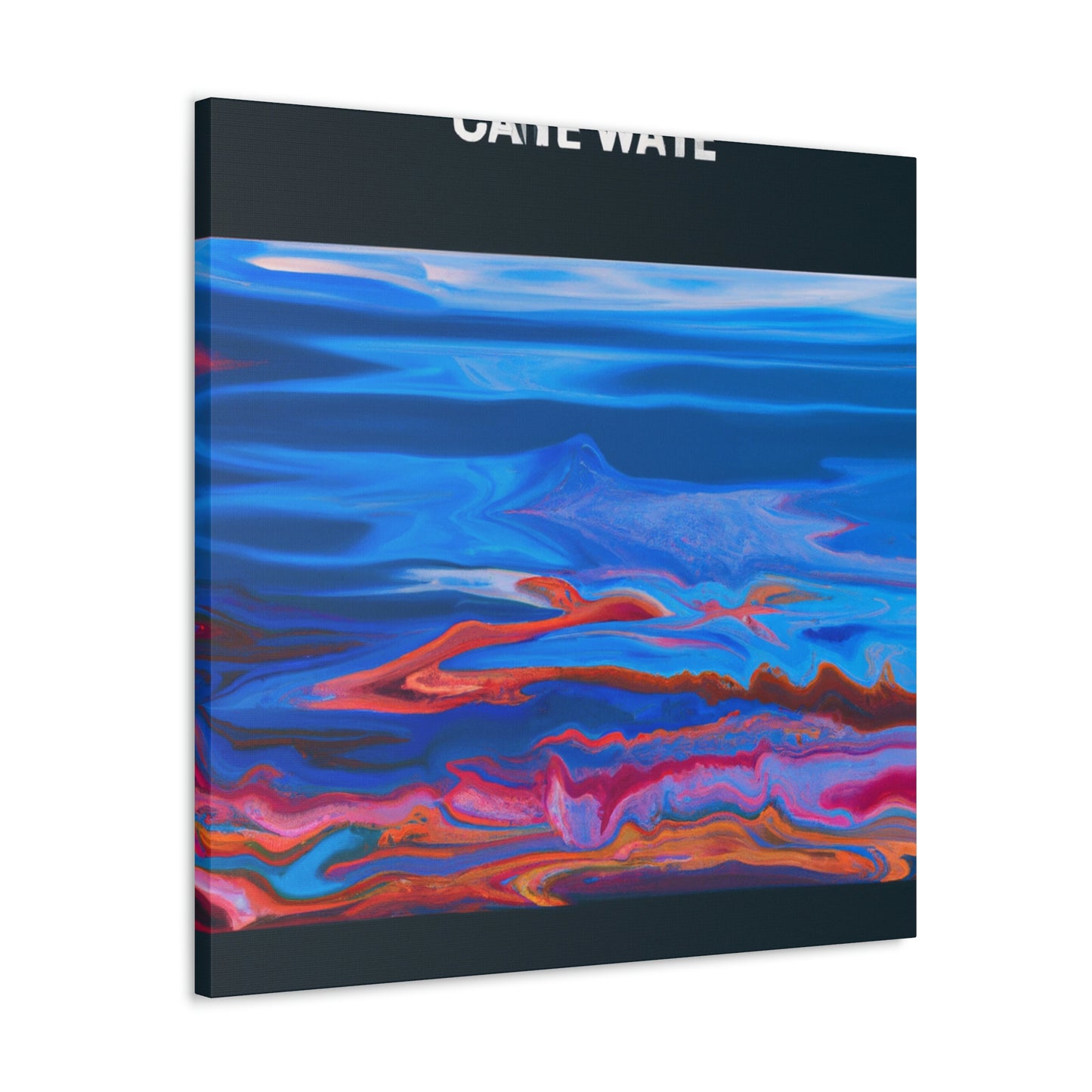 Jacob van Loo - canvas