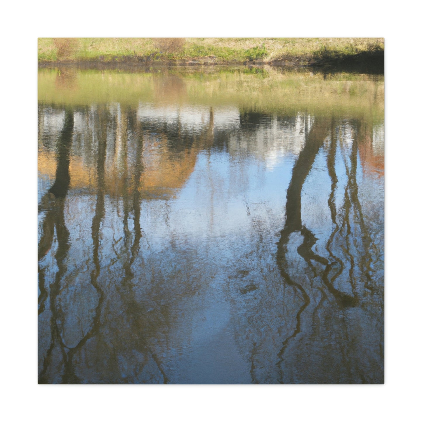 Peter Paul Rubens - canvas