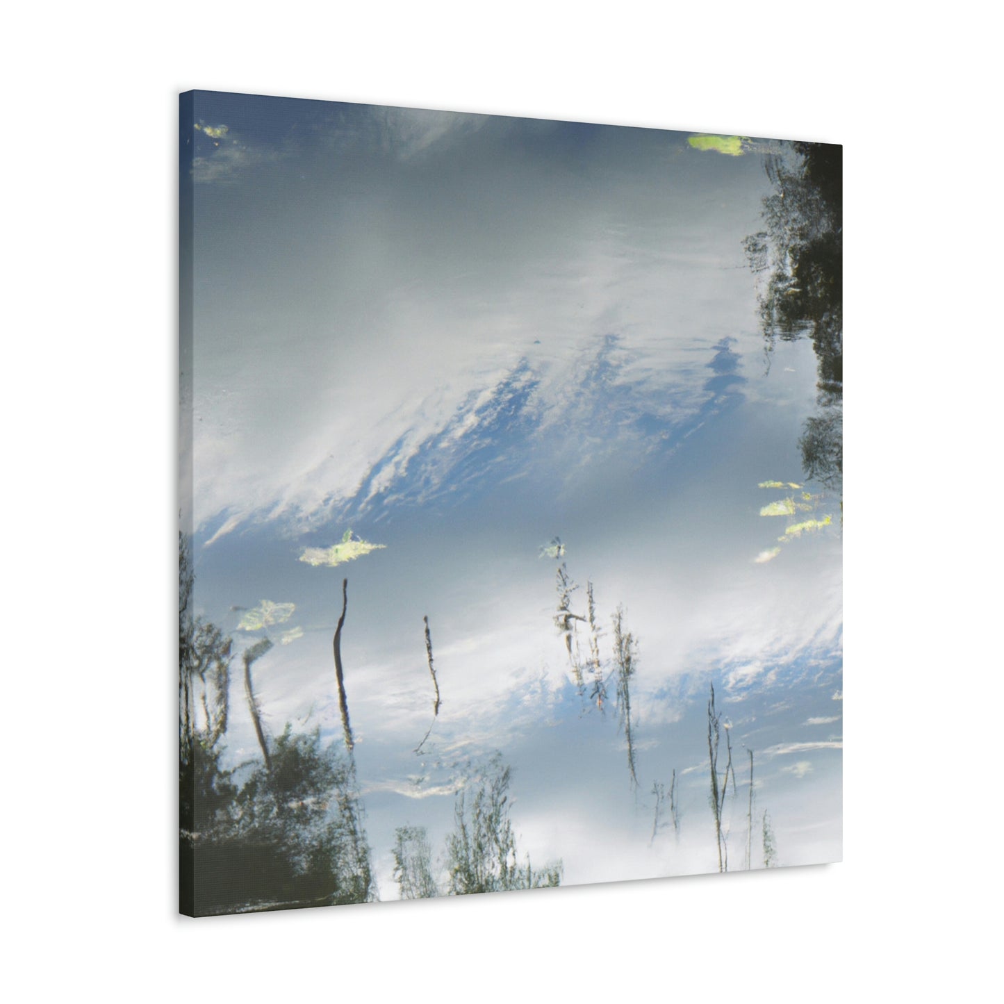 Anthony van Dyck - canvas