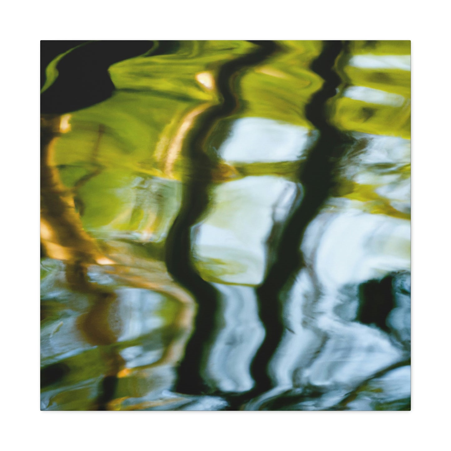 Rembrandt van Rijn - canvas