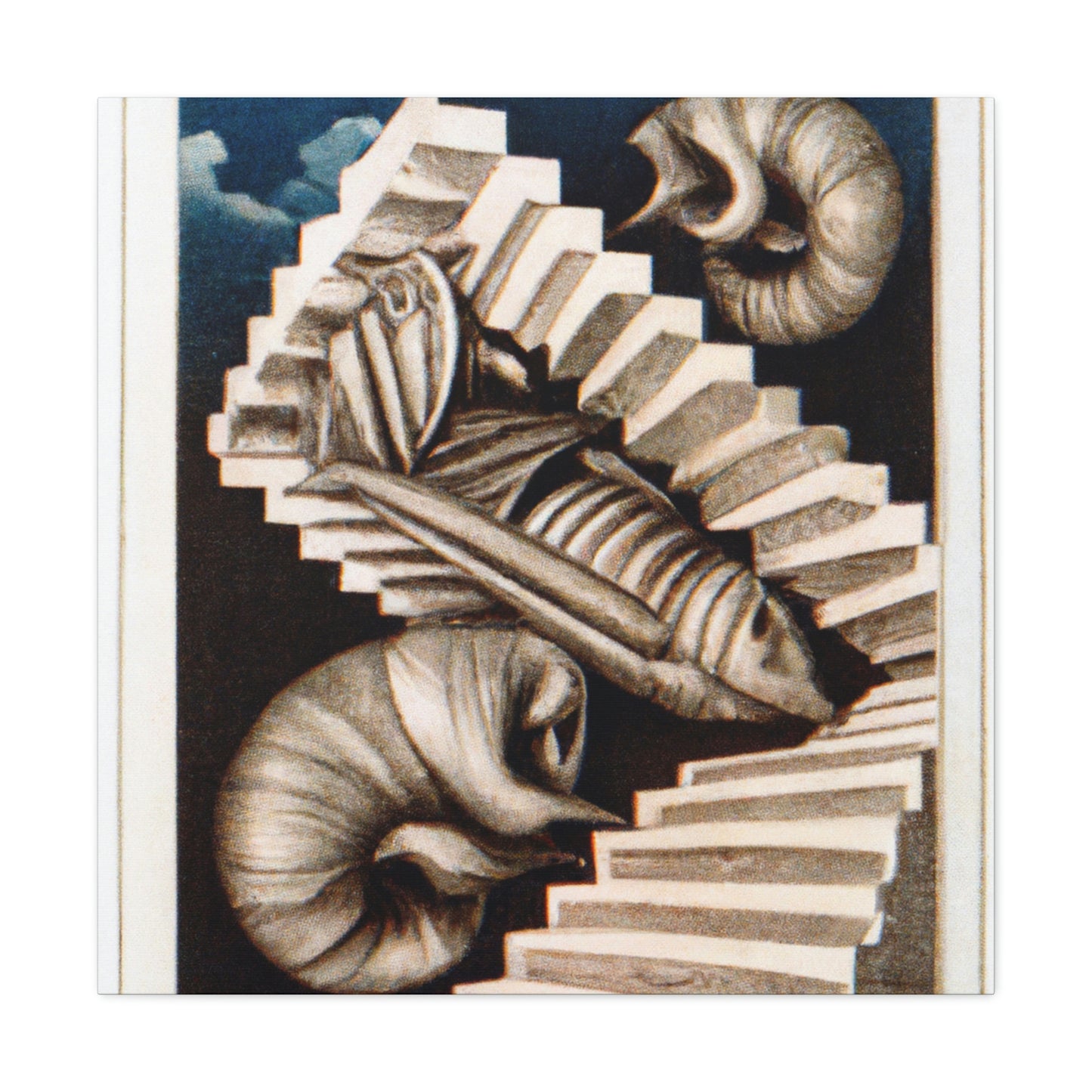 Antonio Canaletto - canvas