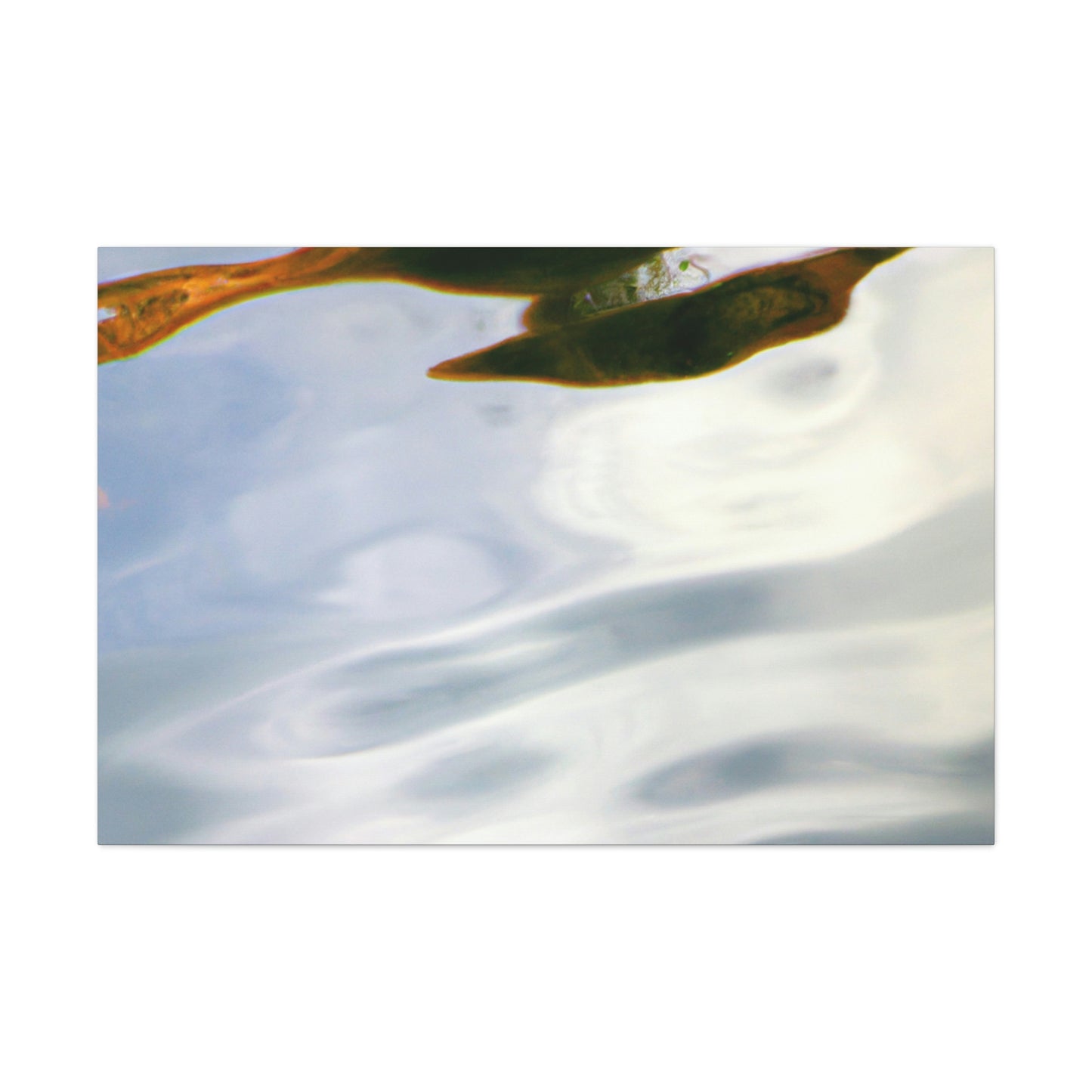 Vermeer van Delft - canvas